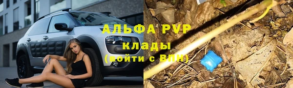 a pvp Беломорск